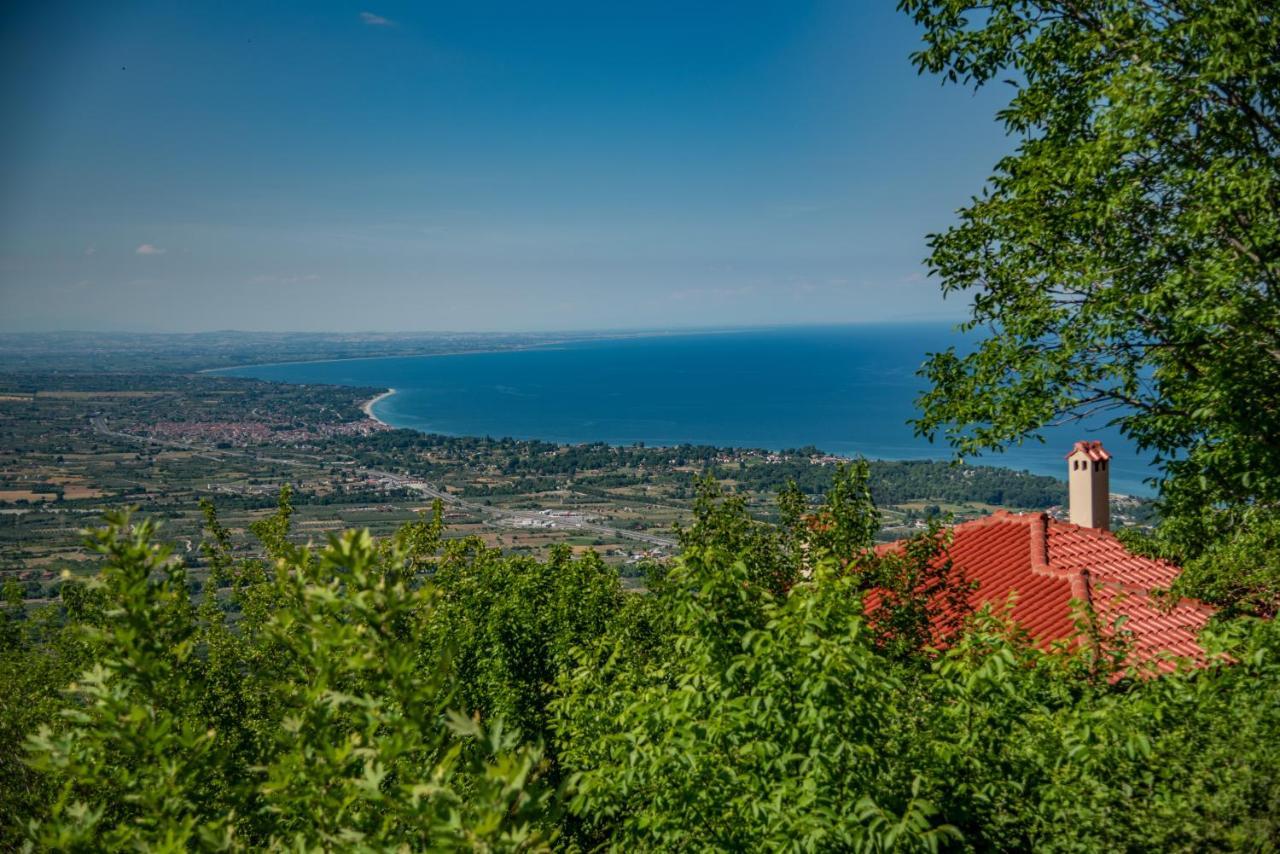 Imon Wellness Apartment Palaios Panteleimonas Bagian luar foto